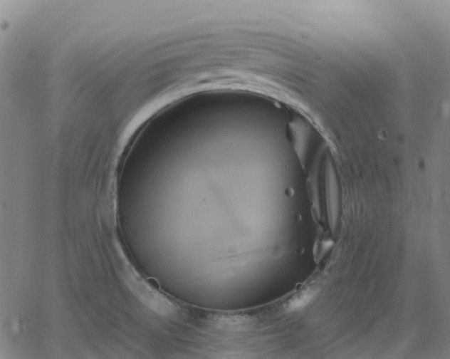 X0000062831522200601201600