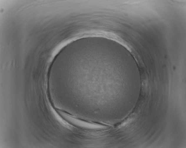 X0000062831523200601201600