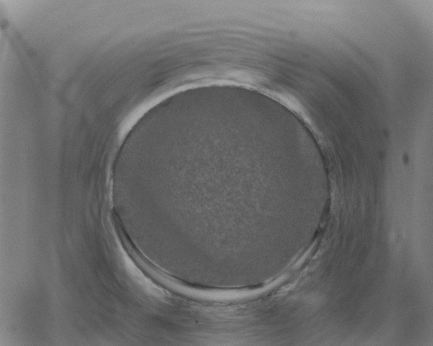 X0000062831524200601201600