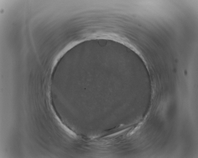 X0000062831525200601201600