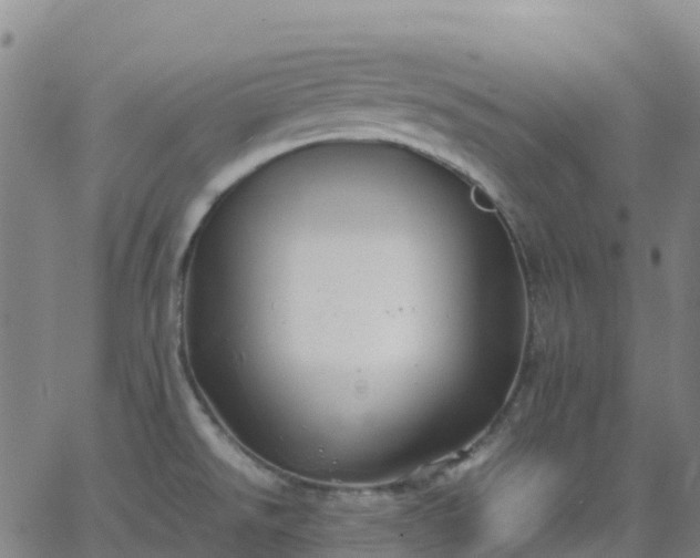 X0000062831526200601201600