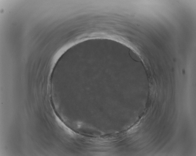 X0000062831527200601201600