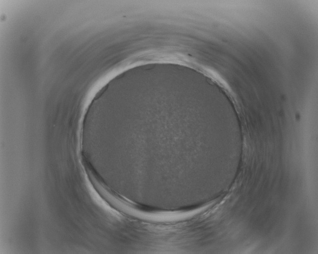 X0000062831528200601201600