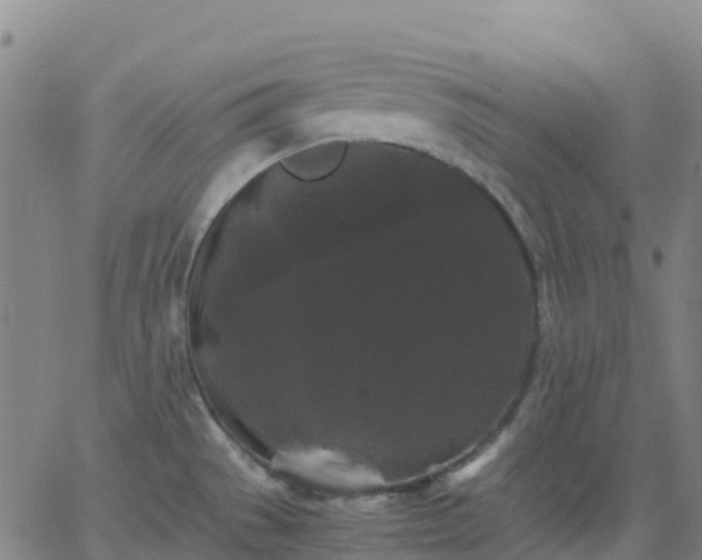 X0000062831529200601201600