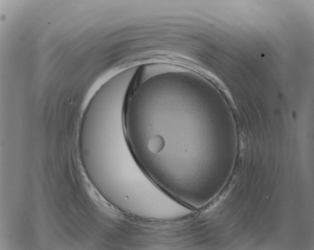 X0000062831530200601201600