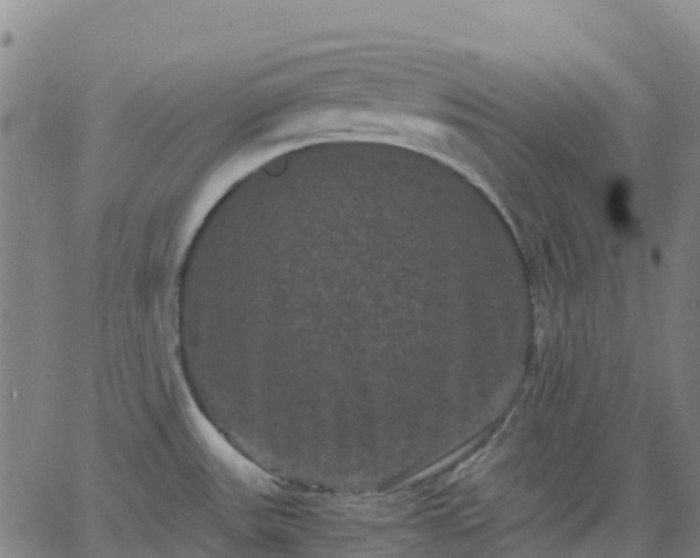 X0000062831531200601201600