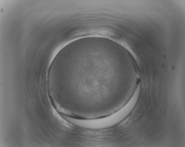 X0000062831532200601201600