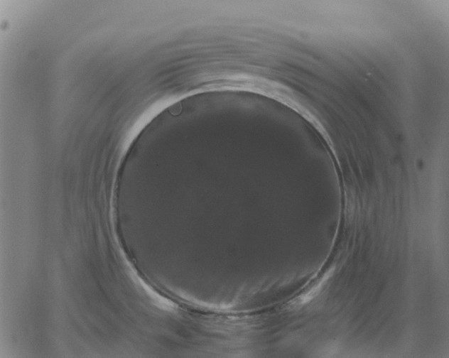 X0000062831533200601201600