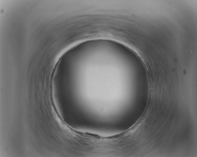 X0000062831534200601201600