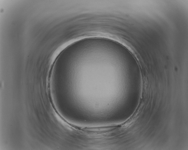 X0000062831535200601201600