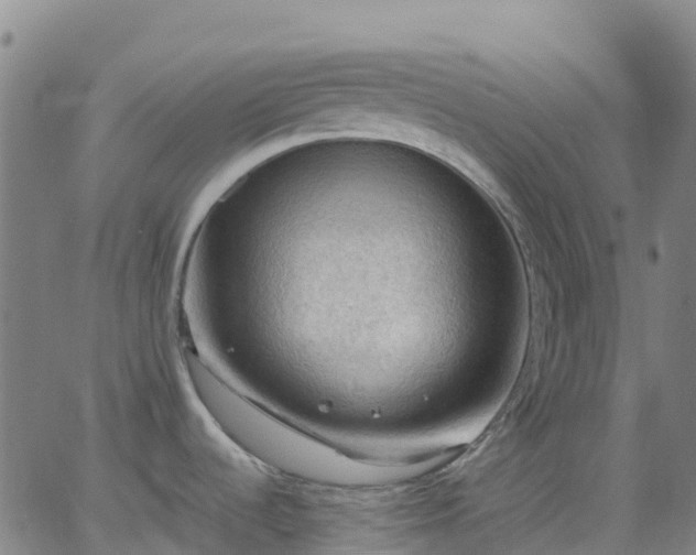 X0000062831536200601201600