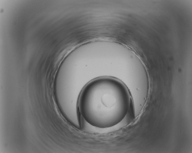 X0000062830001200601272003