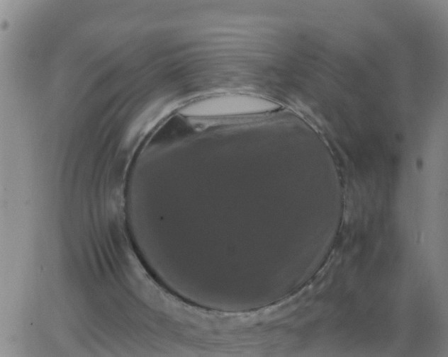 X0000062830002200601272003