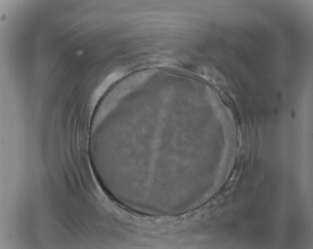 X0000062830003200601272003