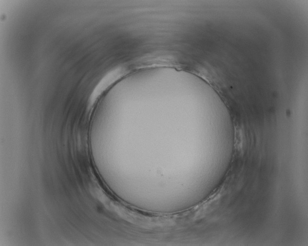 X0000062830004200601272003