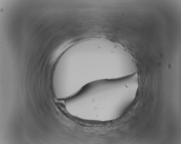 X0000062830005200601272003