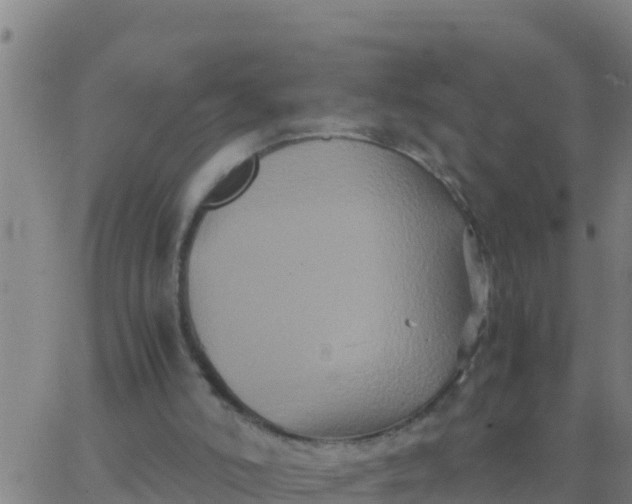 X0000062830006200601272003