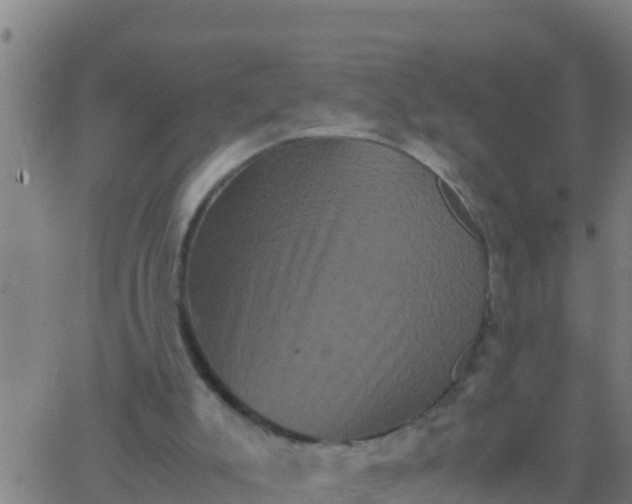 X0000062830007200601272003