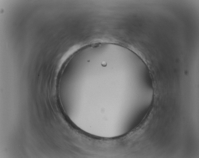 X0000062830008200601272003