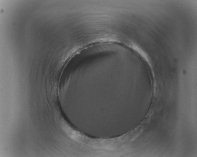 X0000062830009200601272003