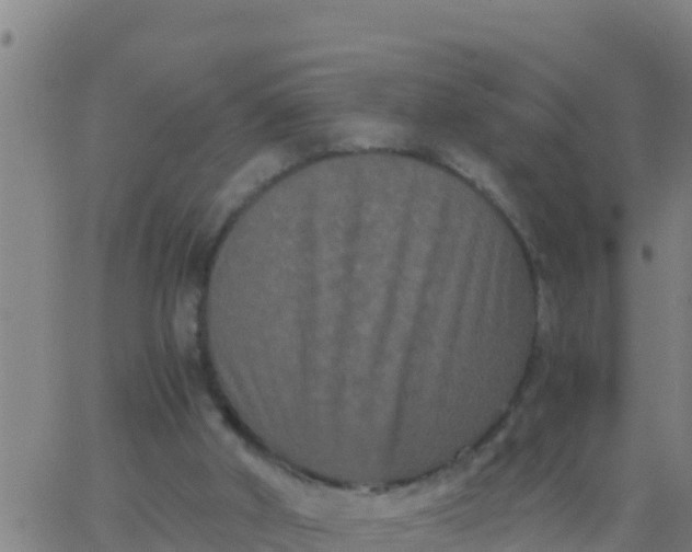 X0000062830010200601272003