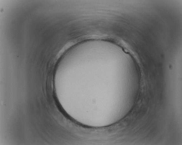 X0000062830011200601272003