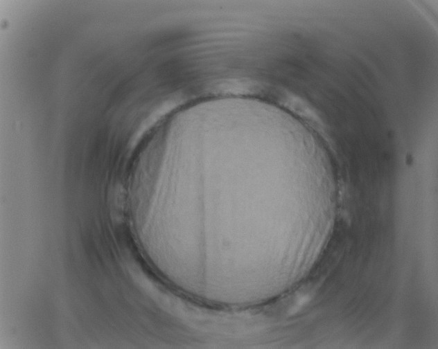 X0000062830012200601272003