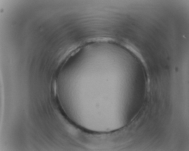 X0000062830013200601272003