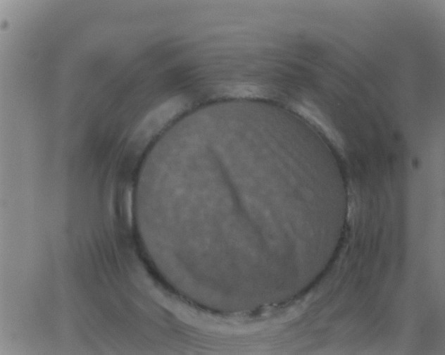 X0000062830014200601272003