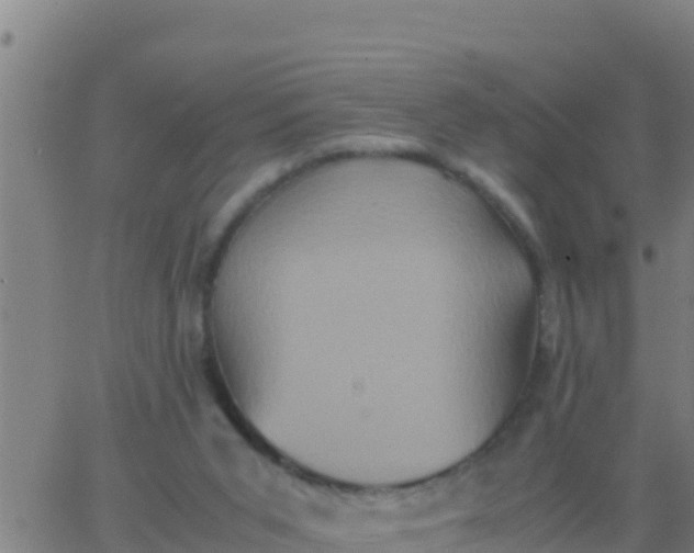 X0000062830015200601272002