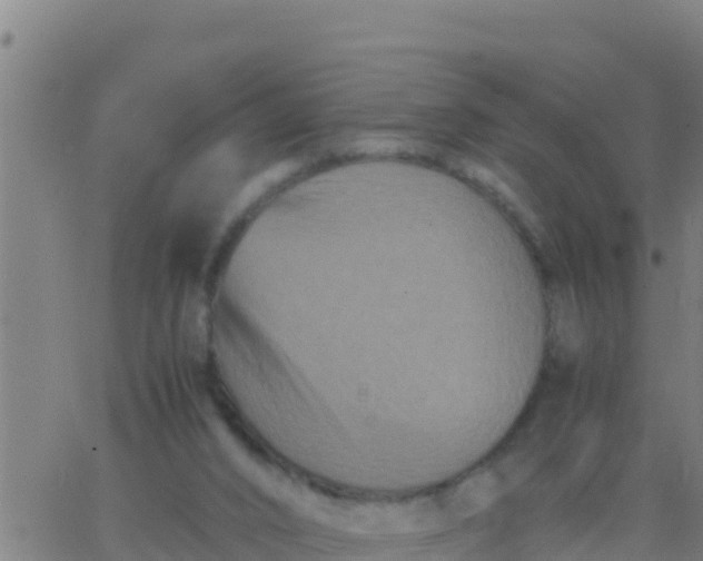 X0000062830016200601272002