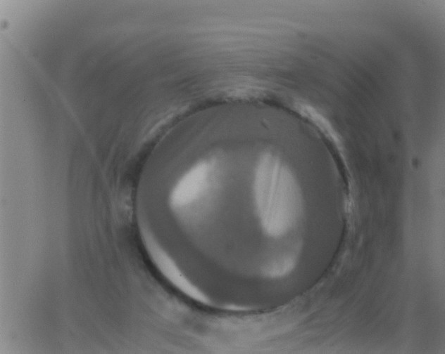 X0000062830017200601272002