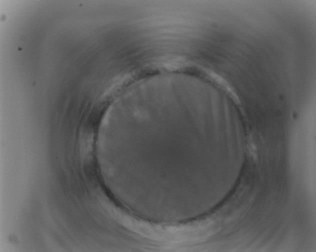 X0000062830018200601272002