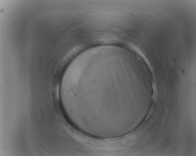 X0000062830019200601272002