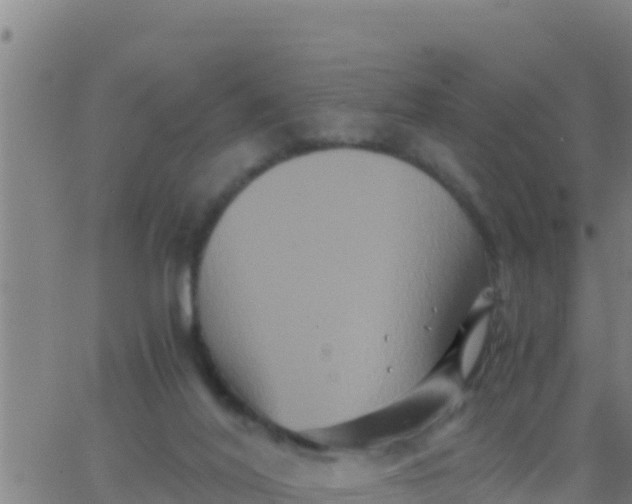 X0000062830020200601272002