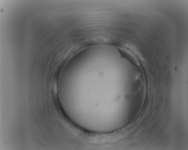 X0000062830021200601272002