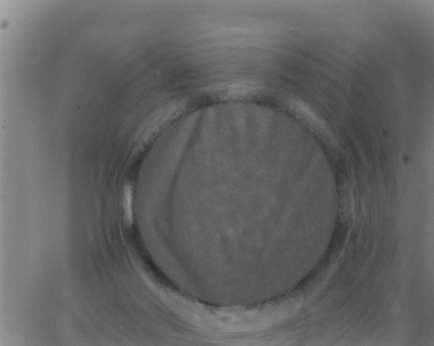 X0000062830022200601272002