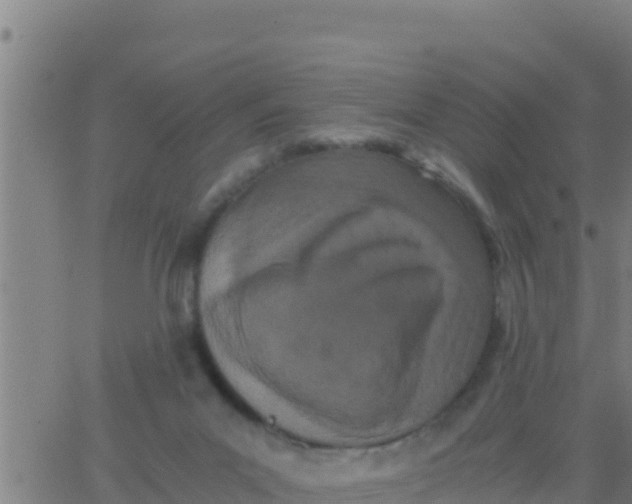 X0000062830023200601272002