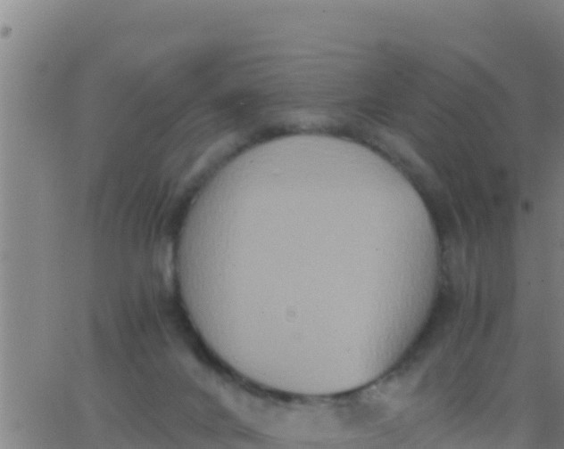 X0000062830024200601272002