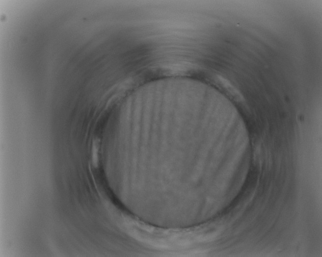 X0000062830026200601272002