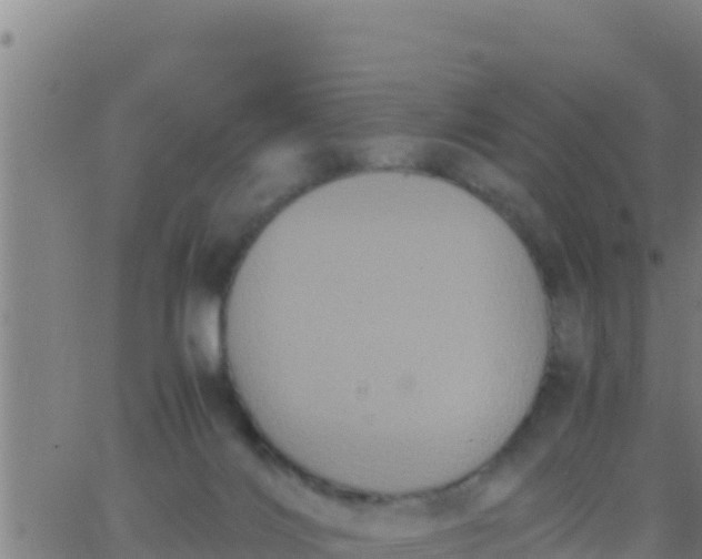 X0000062830028200601272002