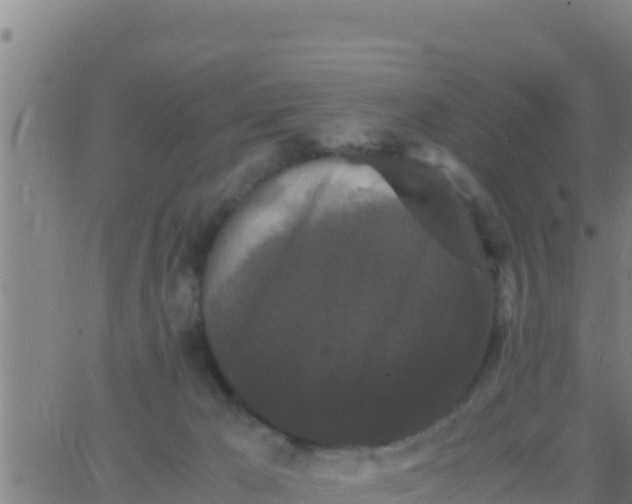 X0000062830029200601272002