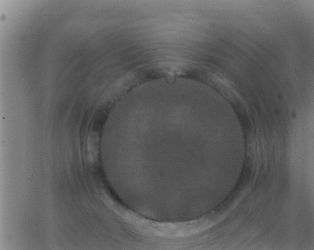 X0000062830030200601272002