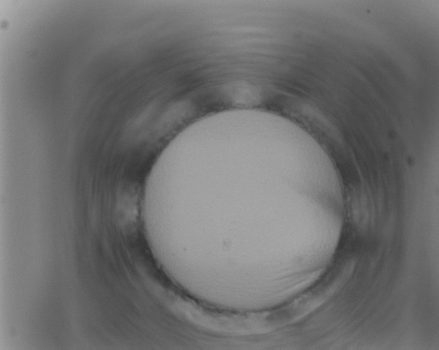 X0000062830032200601272002