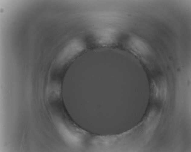 X0000062830033200601272002