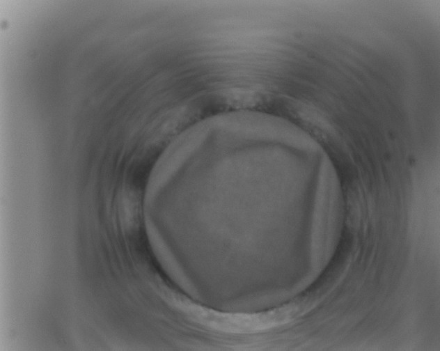 X0000062830034200601272002