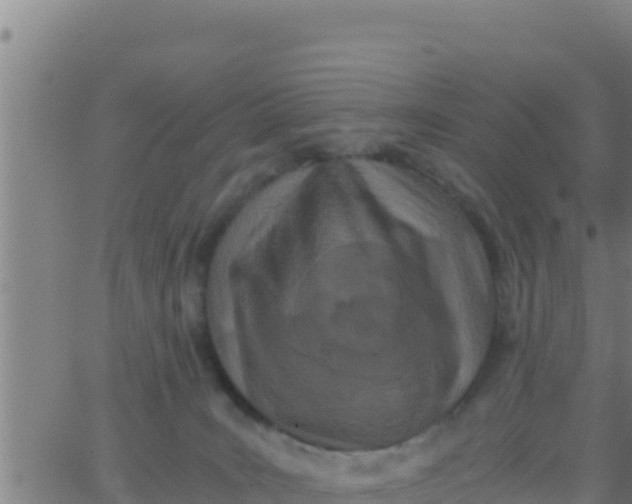 X0000062830035200601272002