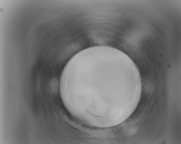 X0000062830036200601272002