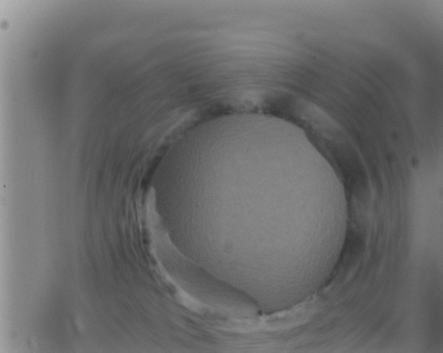 X0000062830037200601272002