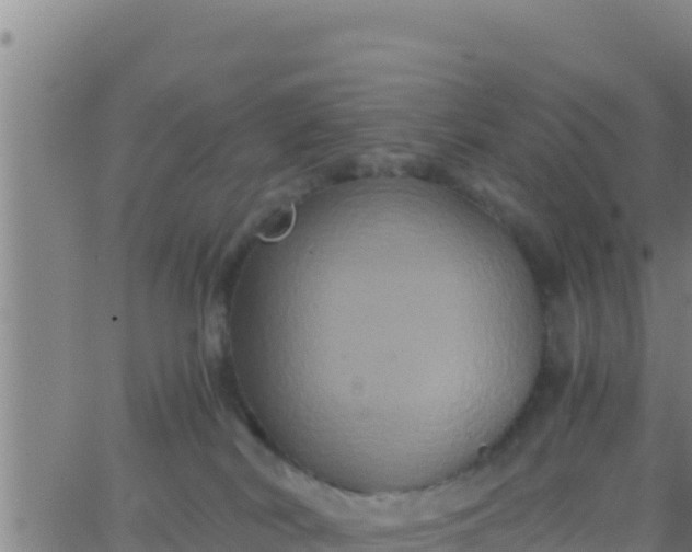 X0000062830038200601272002